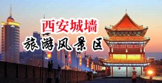 粗大插入双飞姨妈浪穴中国陕西-西安城墙旅游风景区
